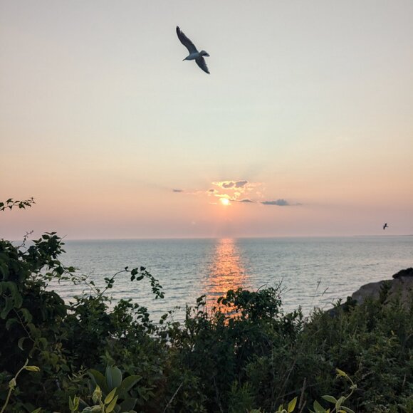 Ashley - Picture 3 of 3